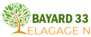 elagage-bayard-33-elagage-n